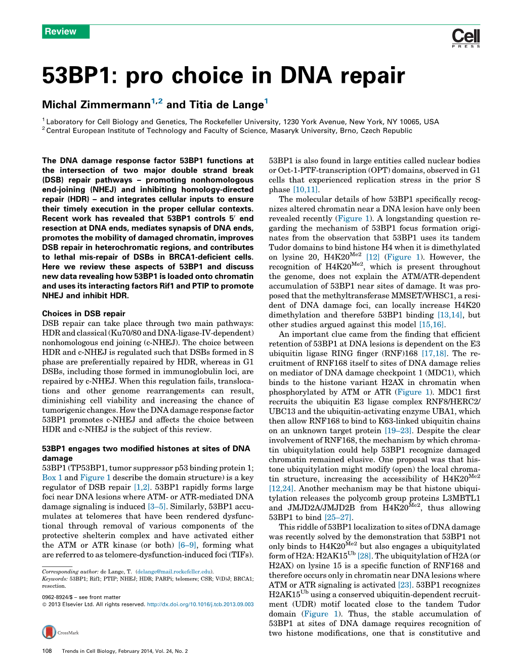 53BP1: Pro Choice in DNA Repair