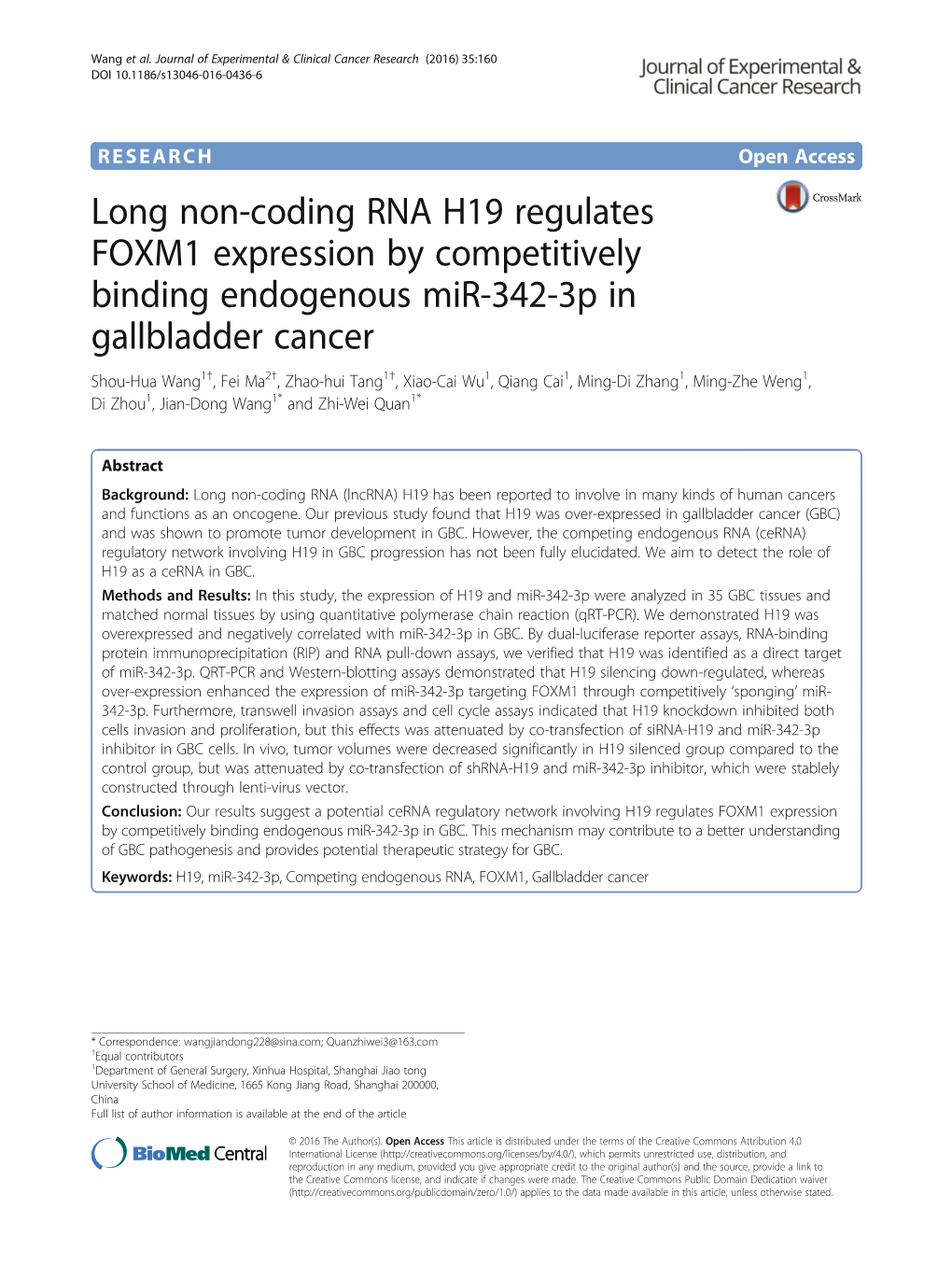 Long Non-Coding RNA H19 Regulates FOXM1 Expression by Competitively