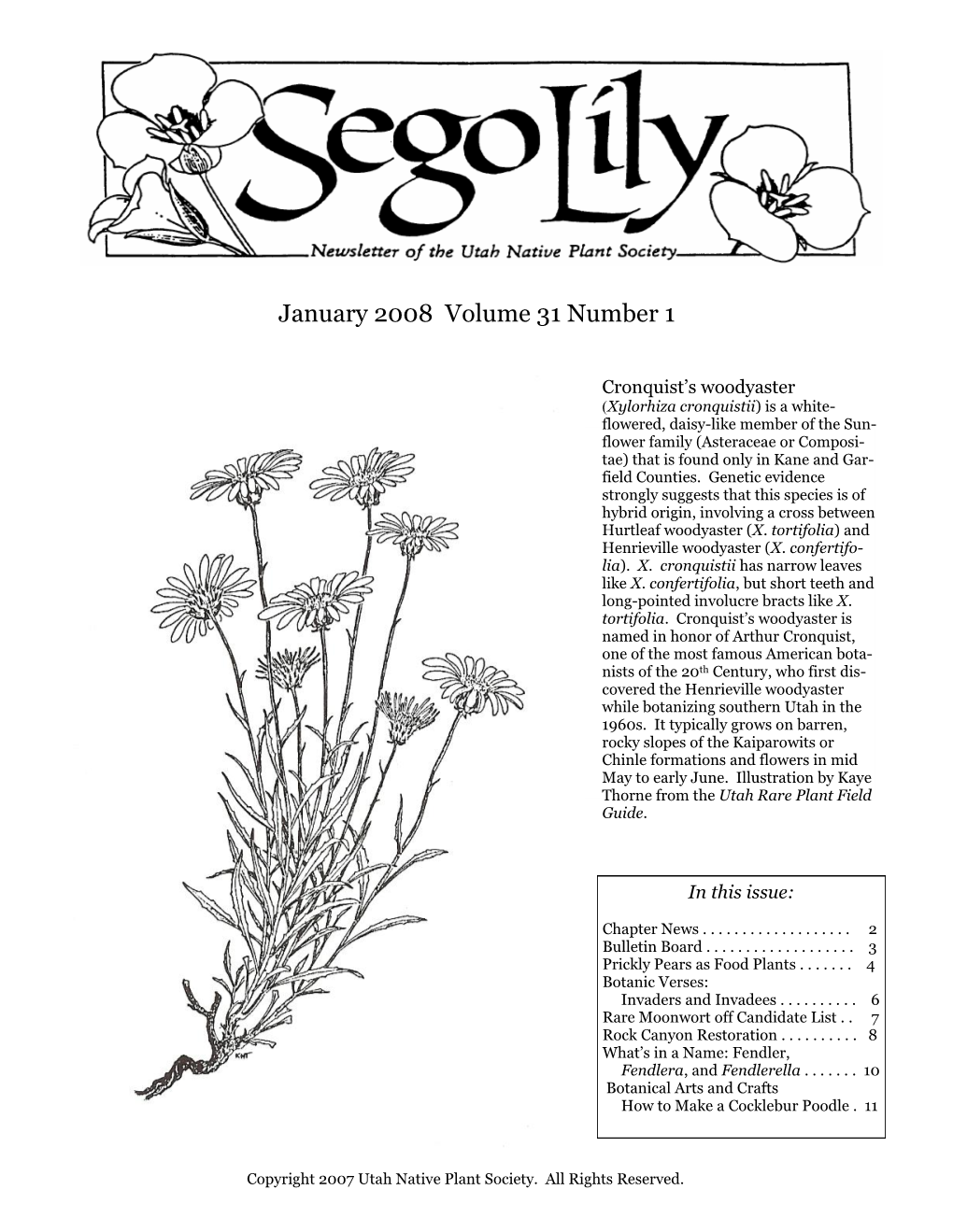 January 2008 Volume 31 Number 1