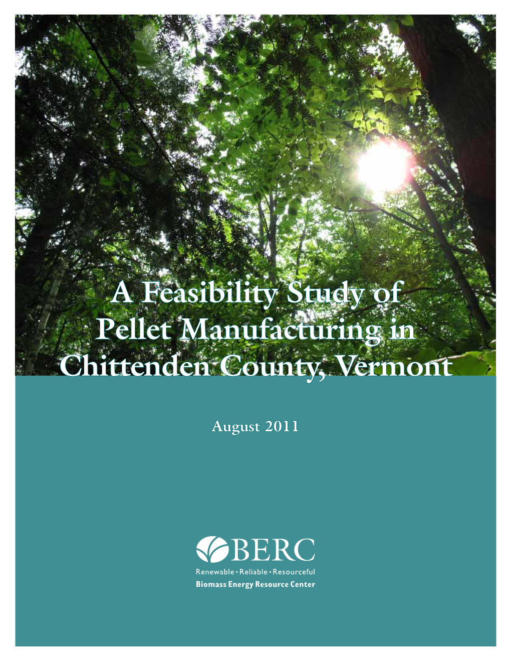 A Feasibility Study of Pellet Manufacturing in Chittenden County, Vermont