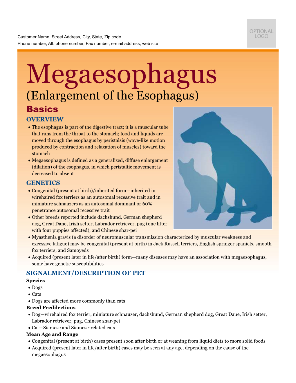 Megaesophagus