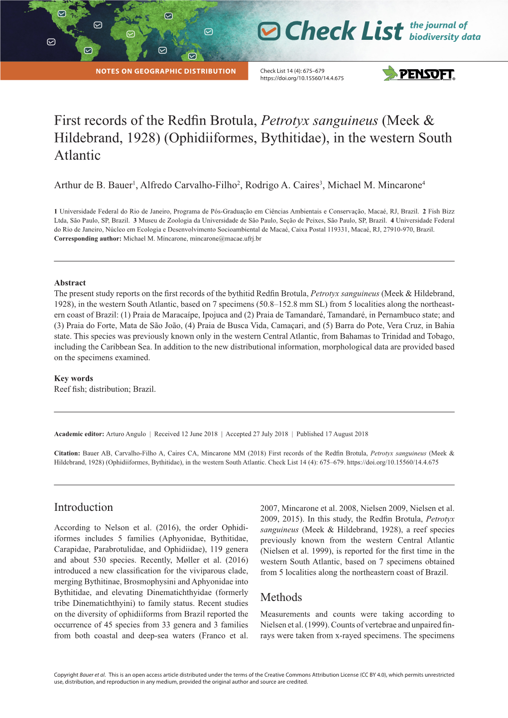 First Records of the Redfin Brotula, Petrotyx Sanguineus (Meek & Hildebrand, 1928) (Ophidiiformes, Bythitidae), in the Weste