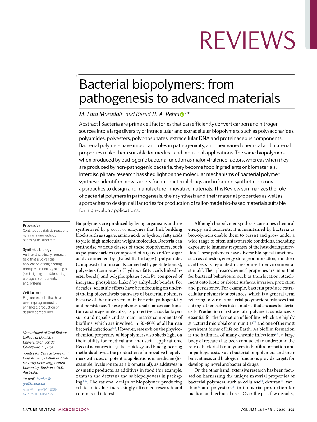 Bacterial Biopolymers: from Pathogenesis to Advanced Materials