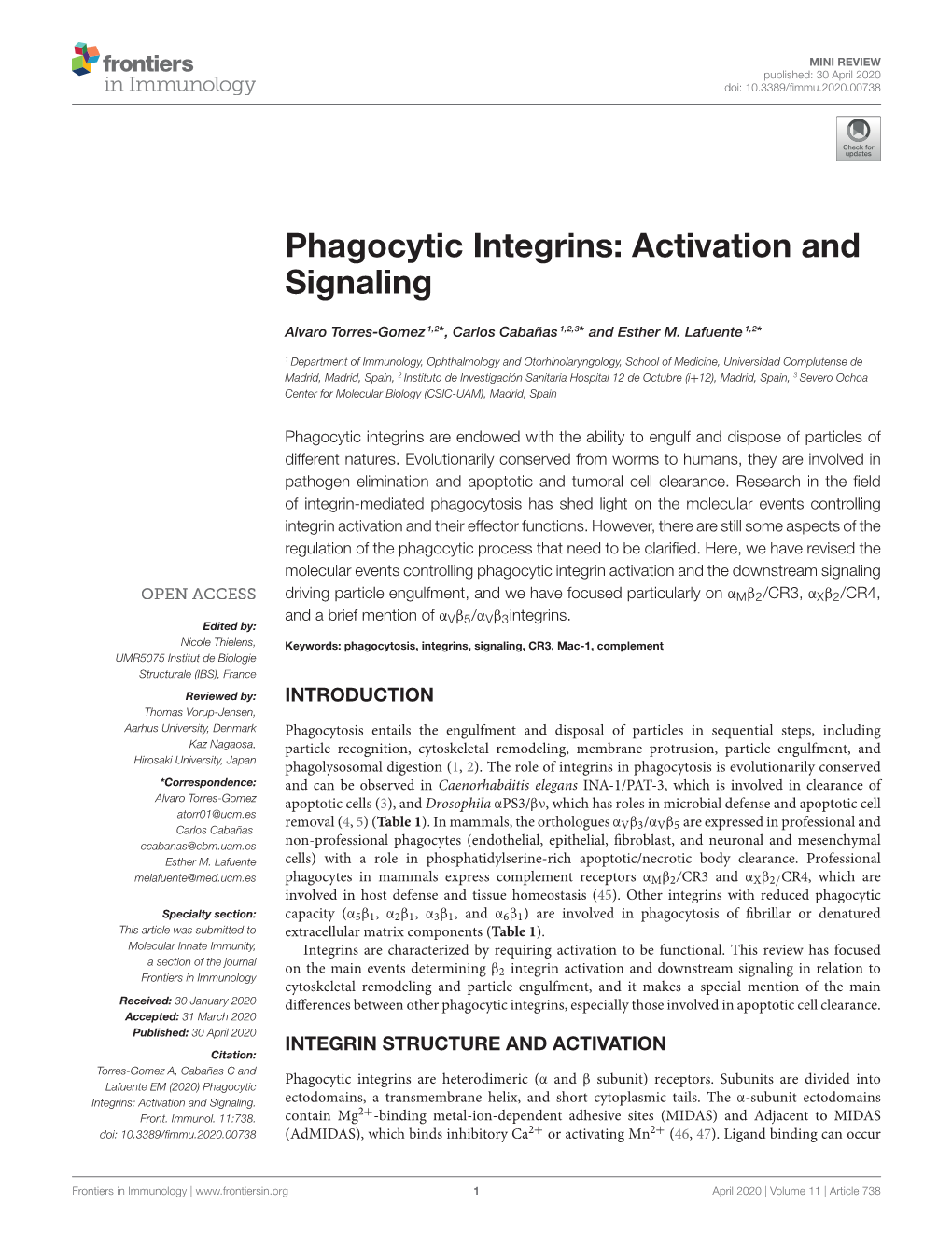 Phagocytic Integrins: Activation and Signaling