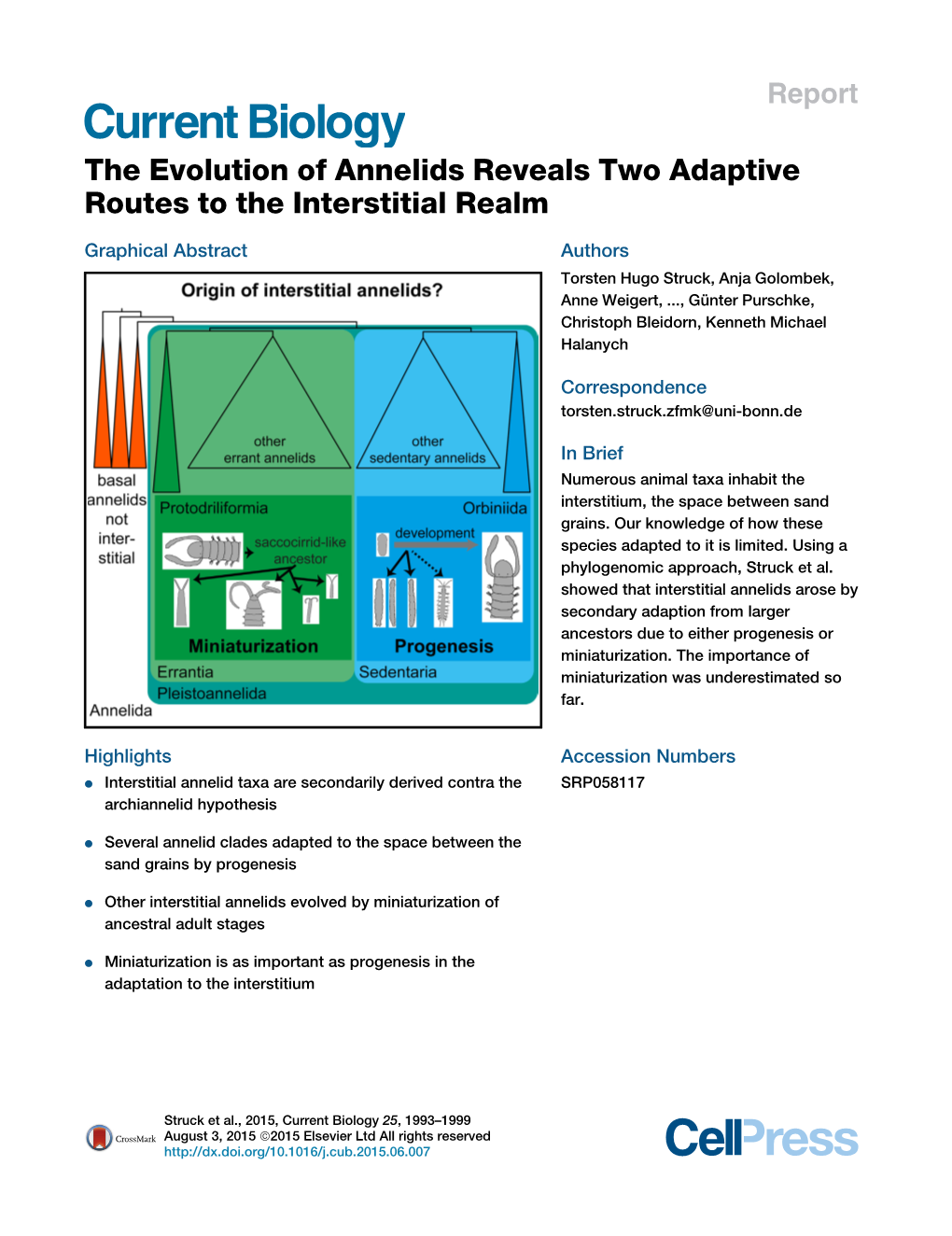 The Evolution of Annelids Reveals Two Adaptive Routes to the Interstitial Realm