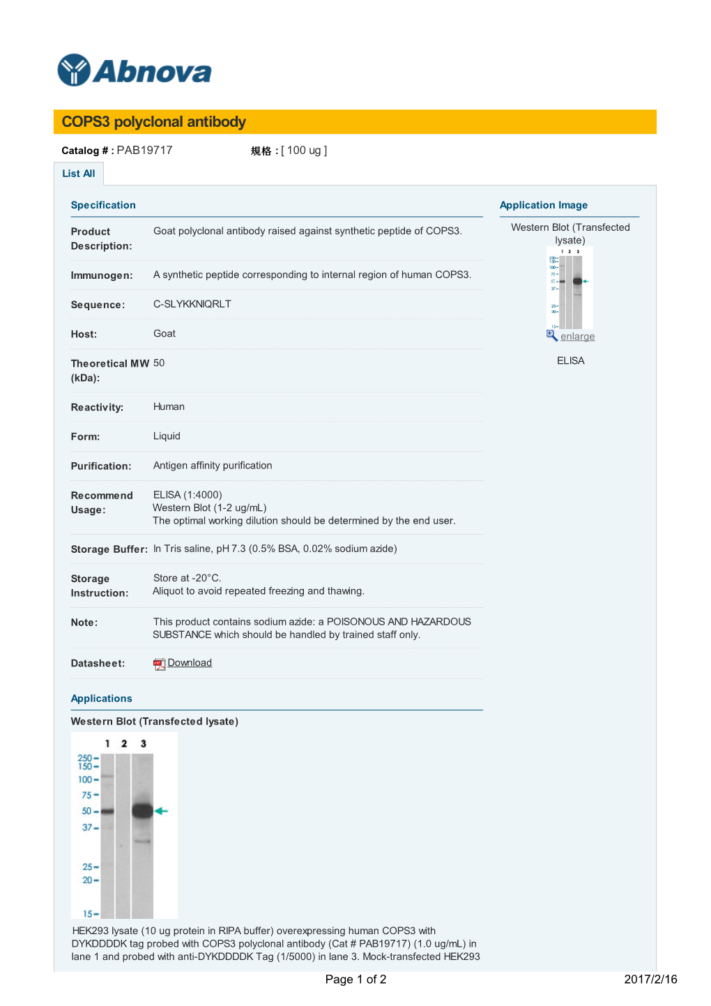 COPS3 Polyclonal Antibody