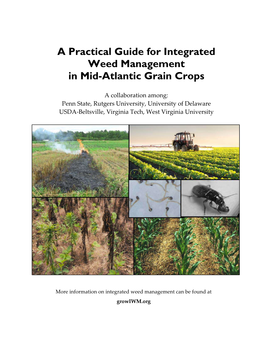 A Practical Guide for Integrated Weed Management in Mid-Atlantic Grain Crops