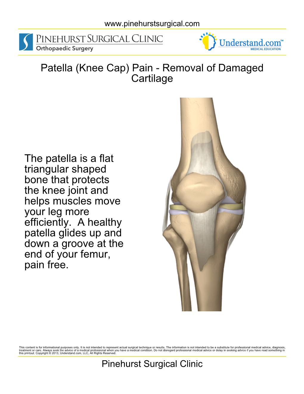 The Patella Is a Flat Triangular Shaped Bone That Protects the Knee Joint and Helps Muscles Move Your Leg More Efficiently