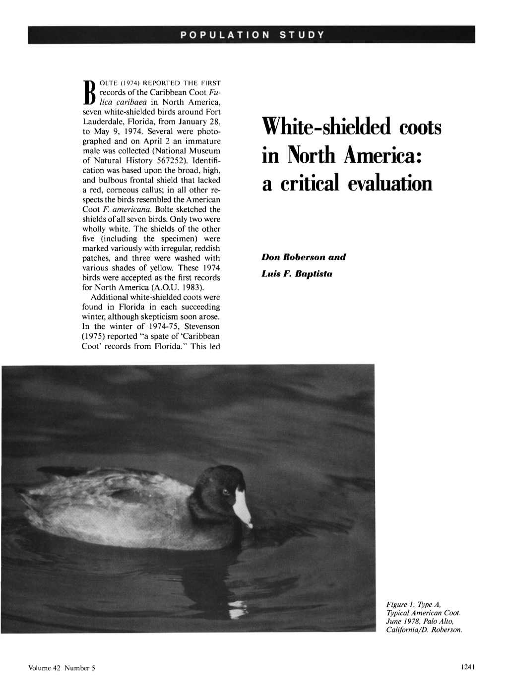White-Shielded Coots in North America: a Critical Evaluation
