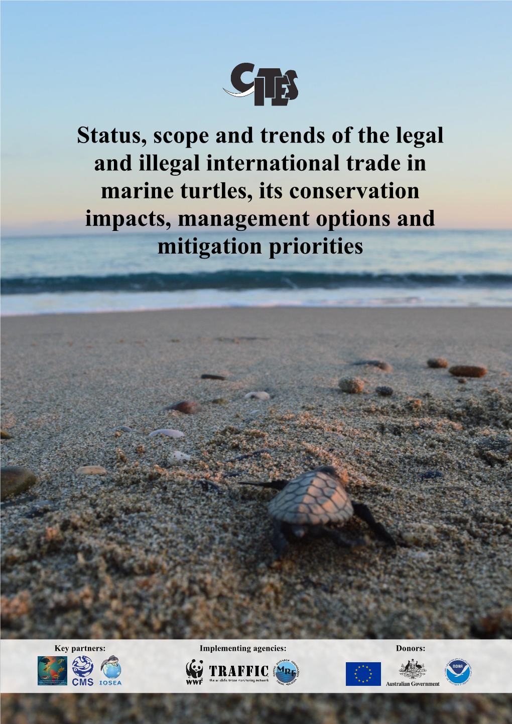 Status, Scope and Trends of the Legal and Illegal International Trade in Marine Turtles, Its Conservation Impacts, Management Options and Mitigation Priorities