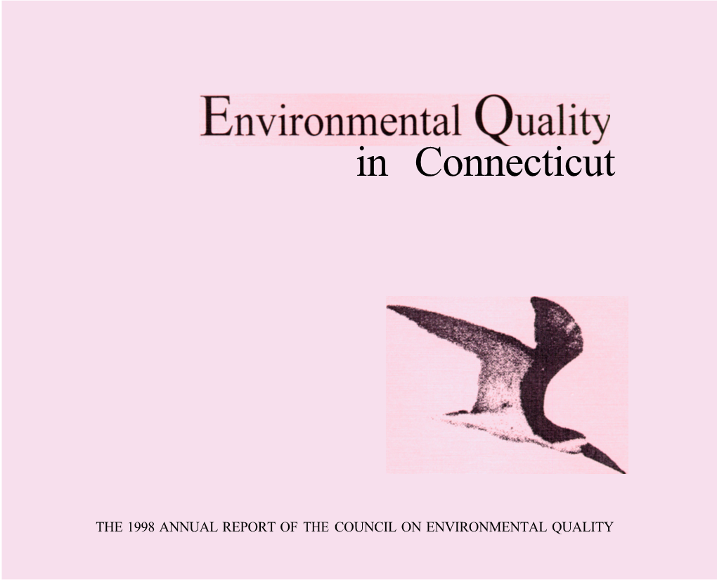 Environmental Quality in Connecticut -- 1998