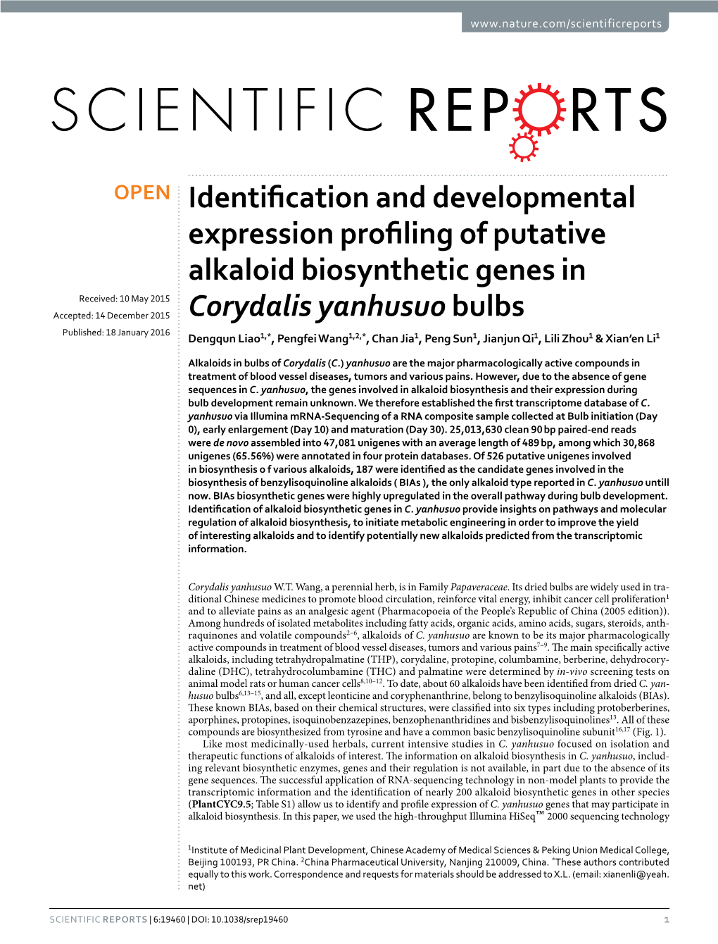 Identification and Developmental Expression Profiling of Putative