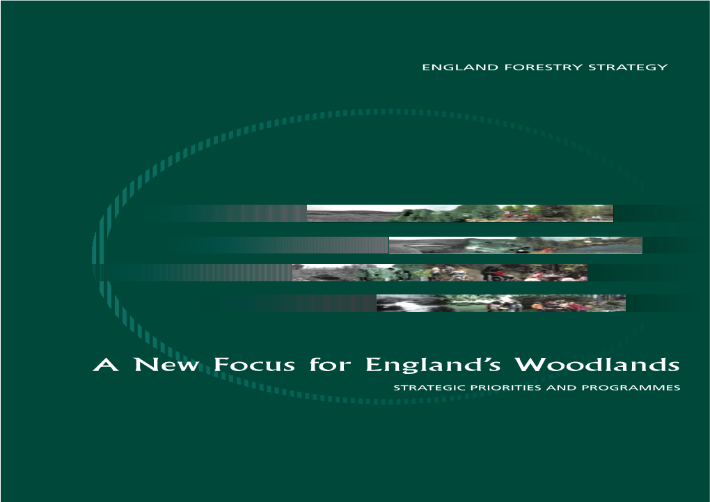 England Forestry Strategy (PDF, 1.4MB)