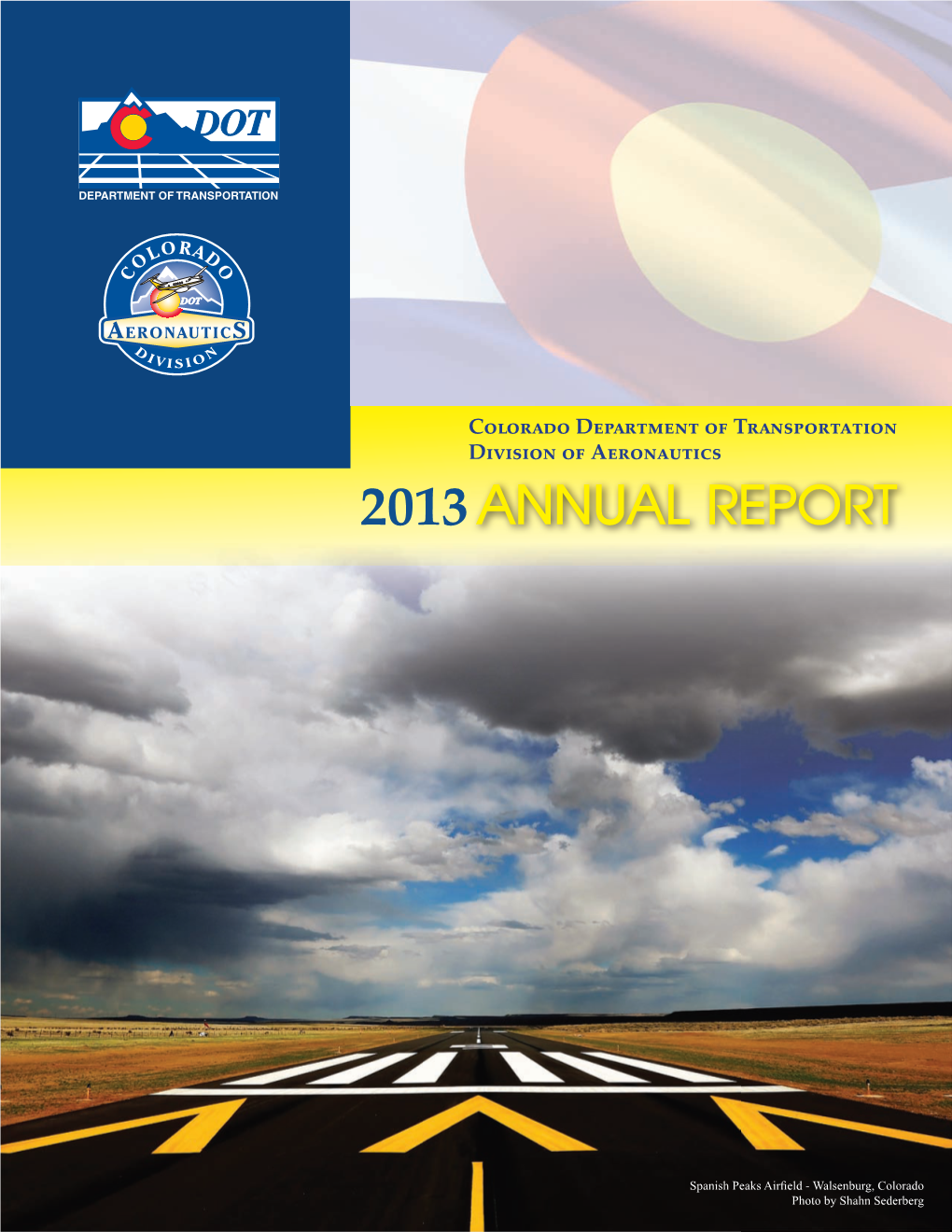 2013 Annual Report