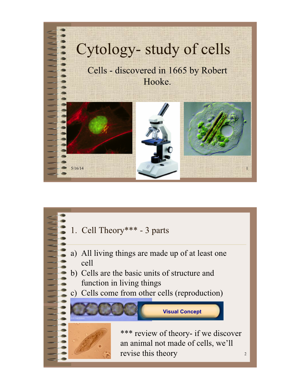 Cell Structure Keystone