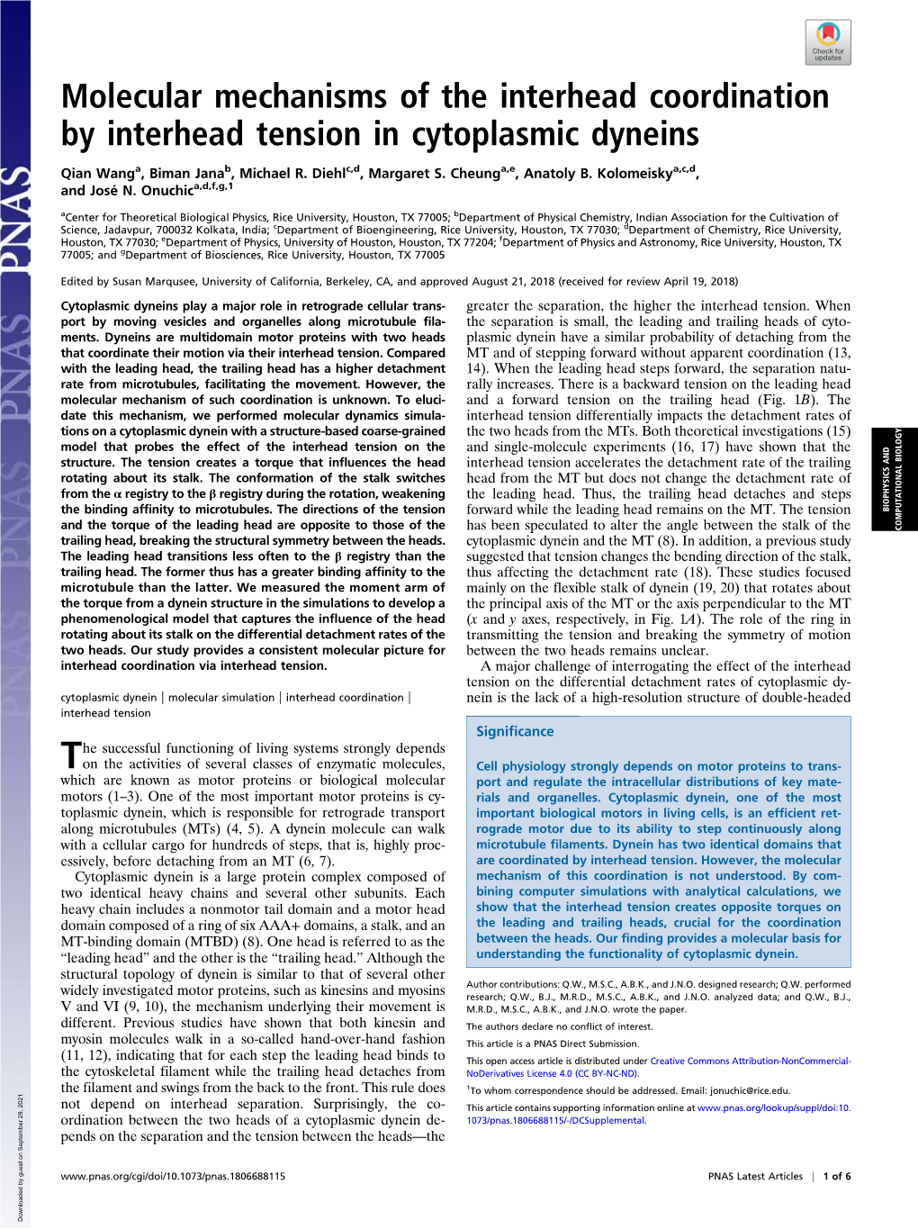 Molecular Mechanisms of the Interhead Coordination by Interhead Tension in Cytoplasmic Dyneins