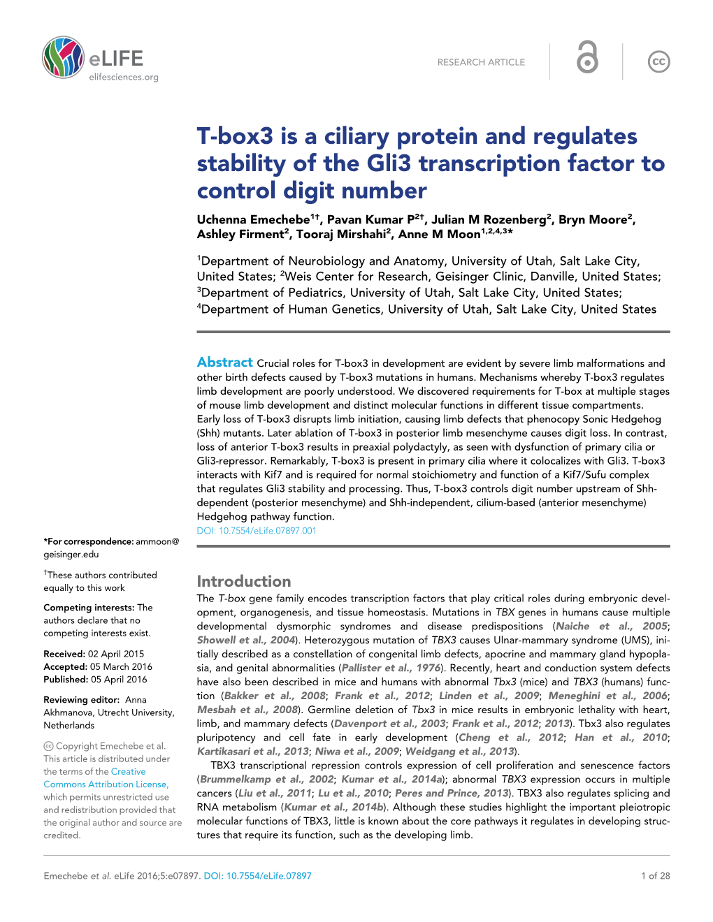 T-Box3 Is a Ciliary Protein and Regulates Stability of the Gli3