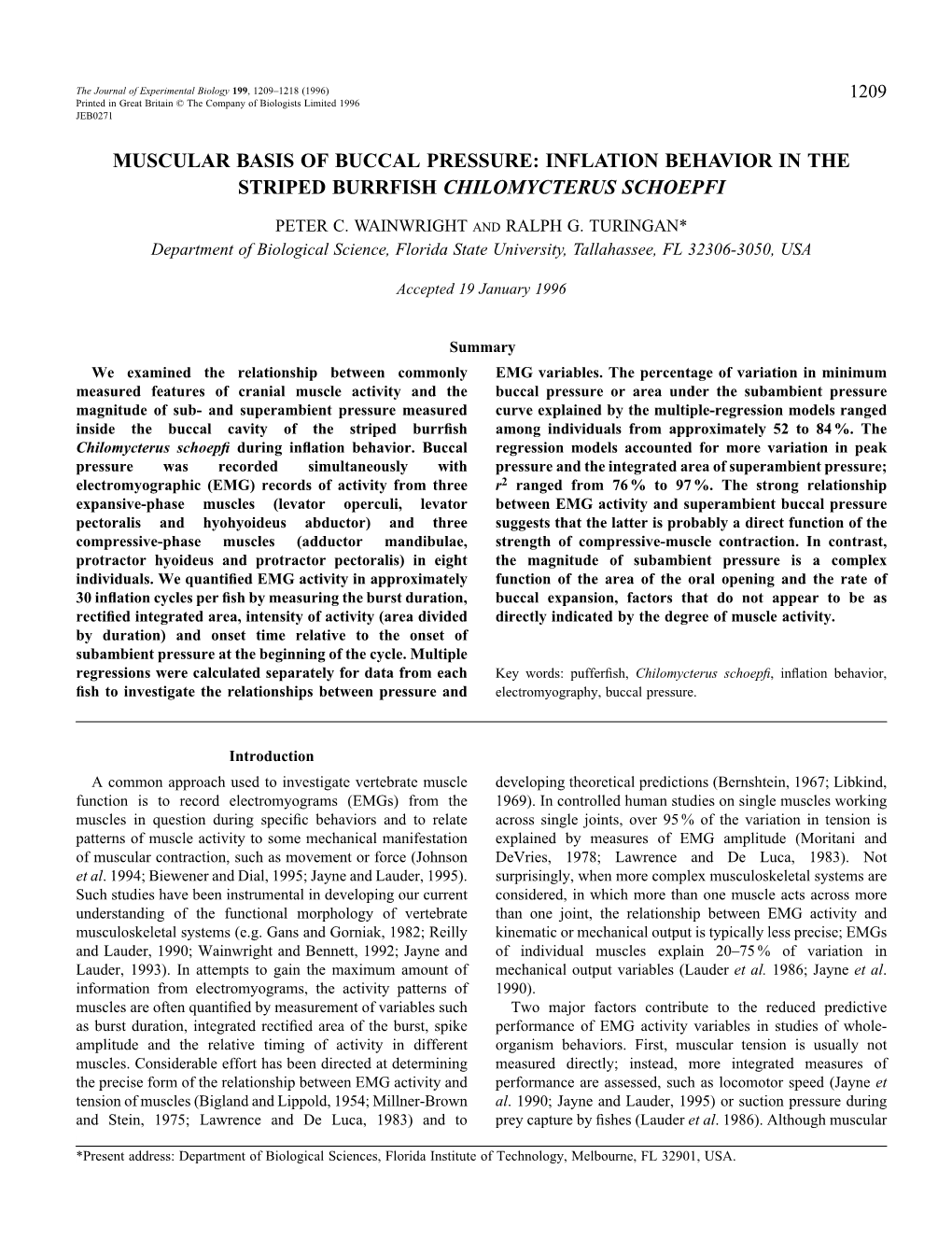 Inflation Behavior in the Striped Burrfish Chilomycterus Schoepfi