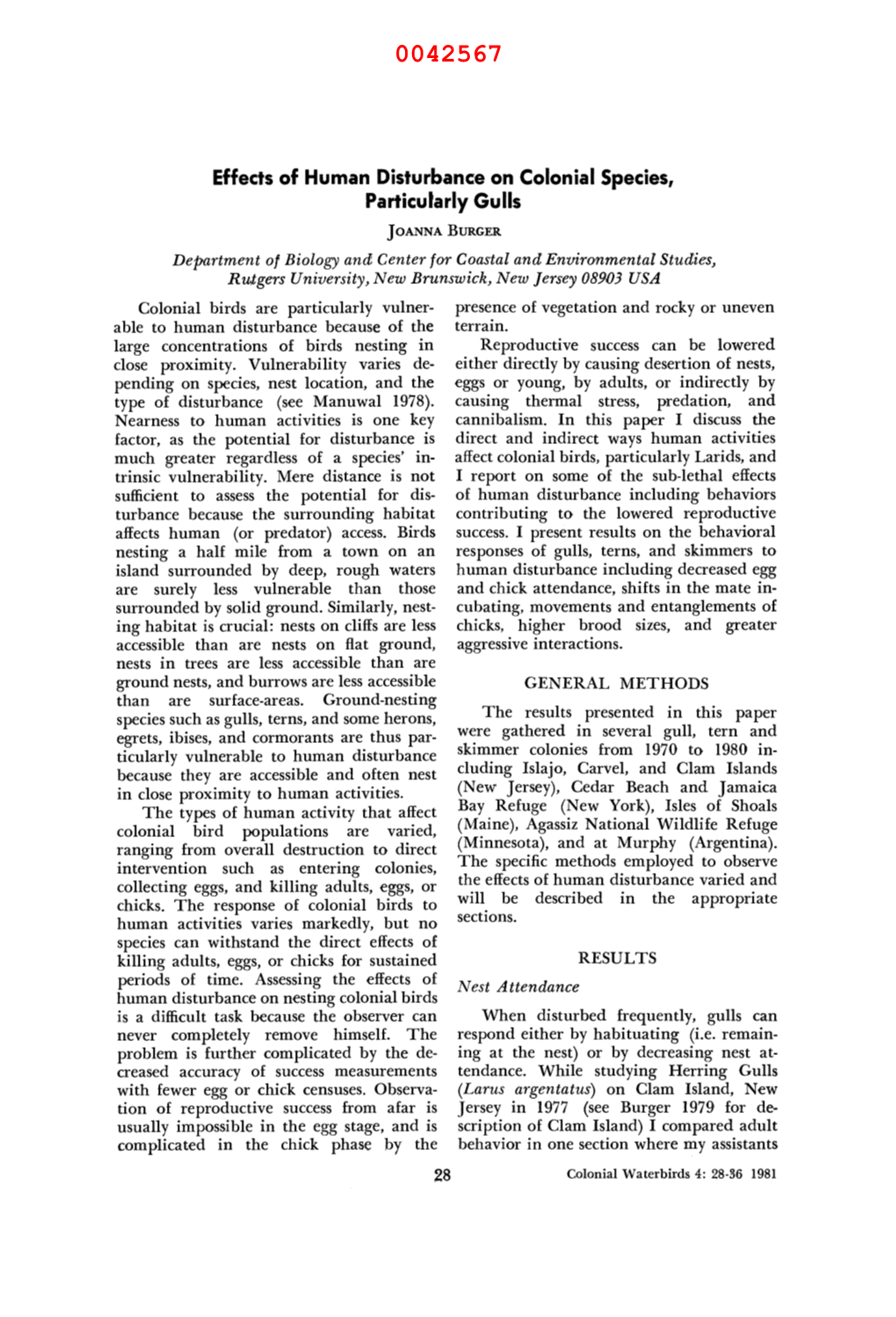 Effects of Human Disturbance on Colonial Species, Particularly Gulls