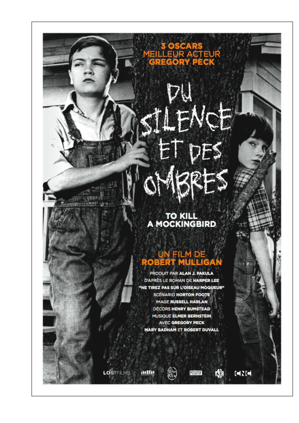 Du-Silence-Et-Des-Ombres 68883.Pdf