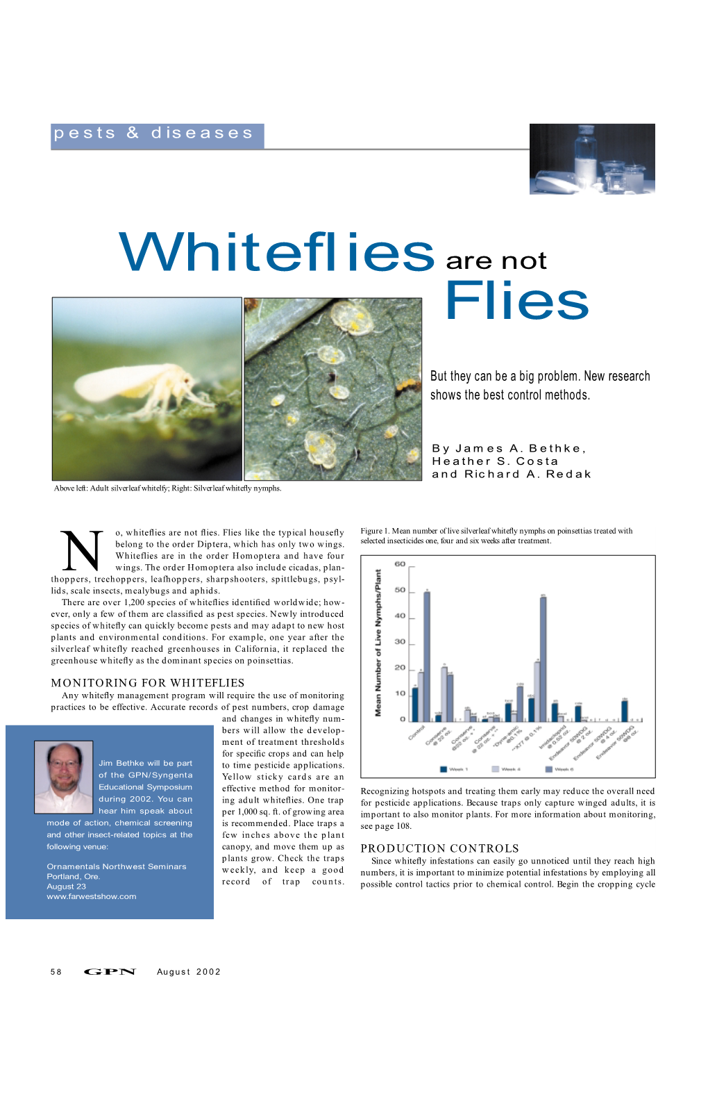 Whiteflies Flies