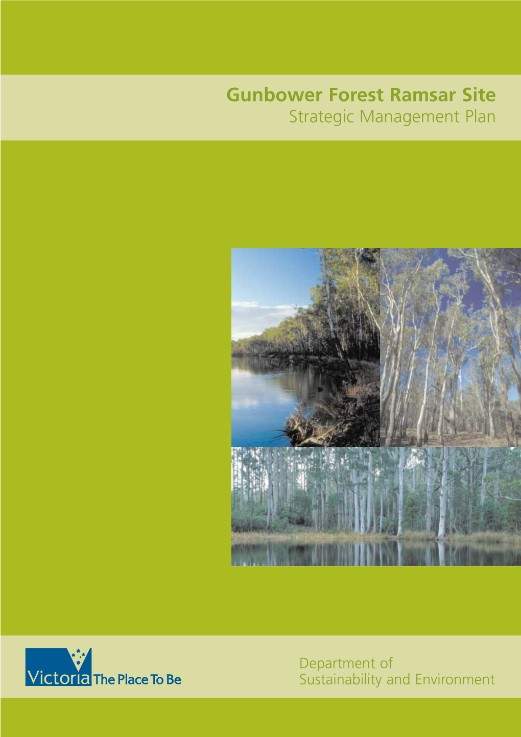 Gunbower Forest Ramsar Site Strategic Management Plan
