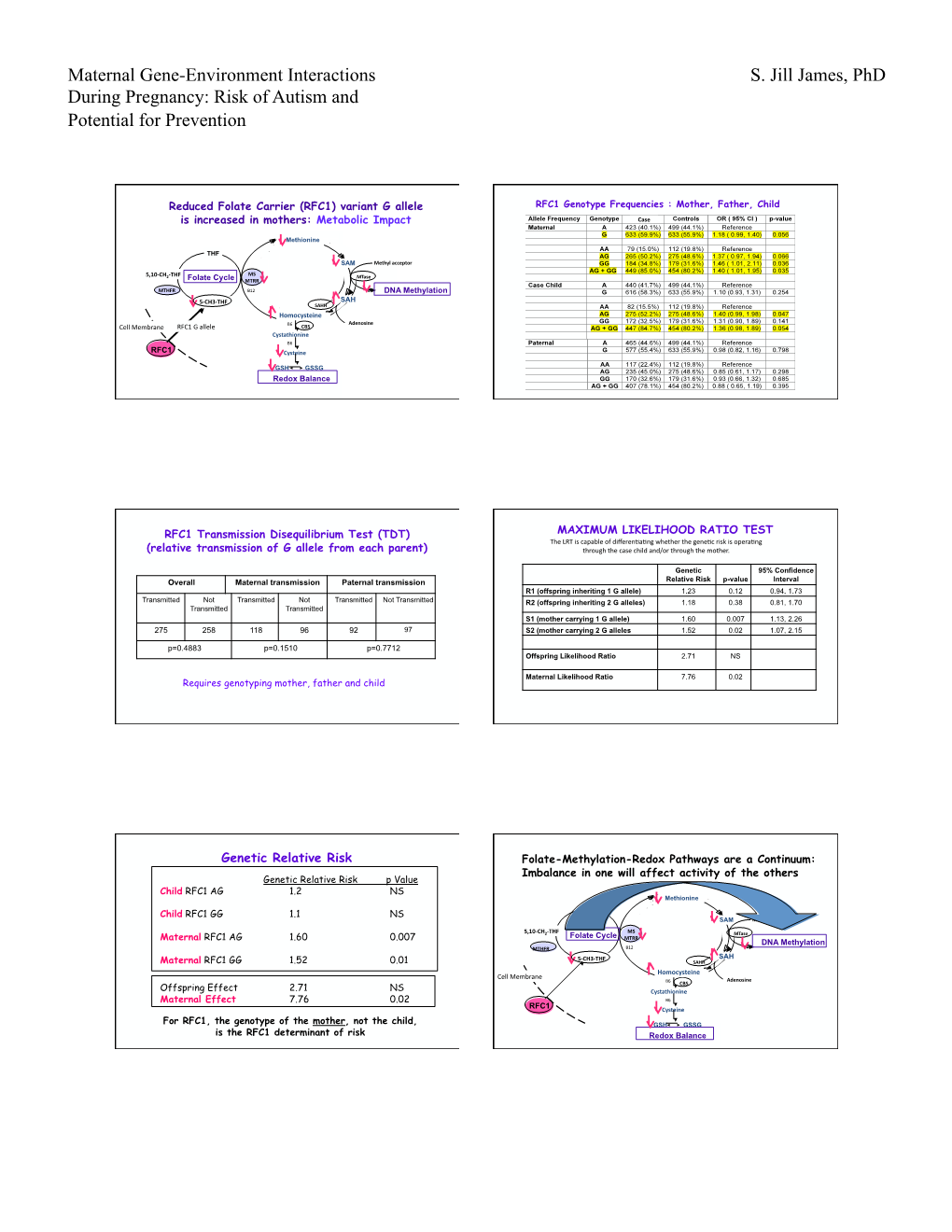 Maternal Gene-Environment Interactions During Pregnancy: Risk