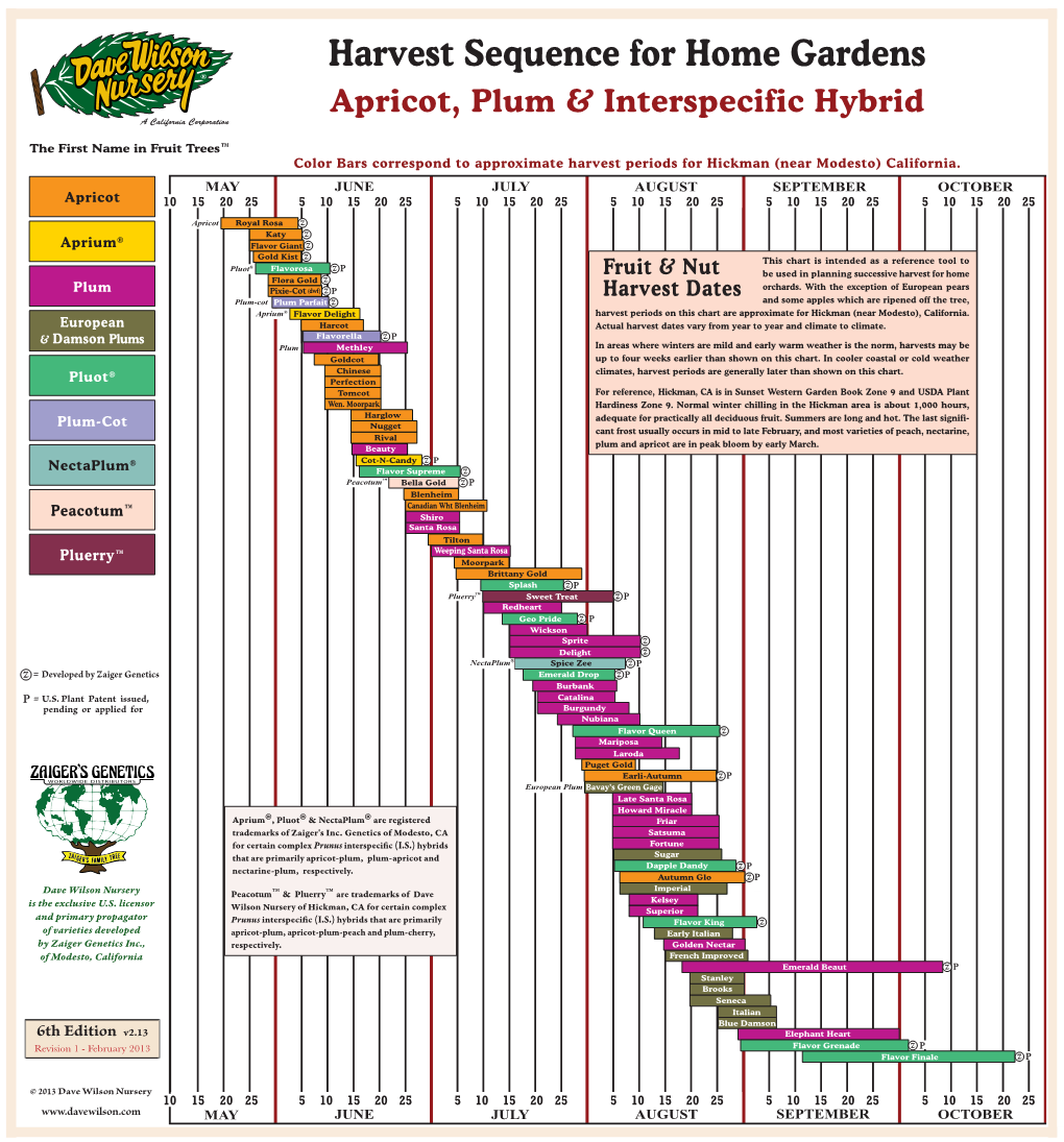 Harvest Sequence: Apricot, Plum, Interspecific Hybrid