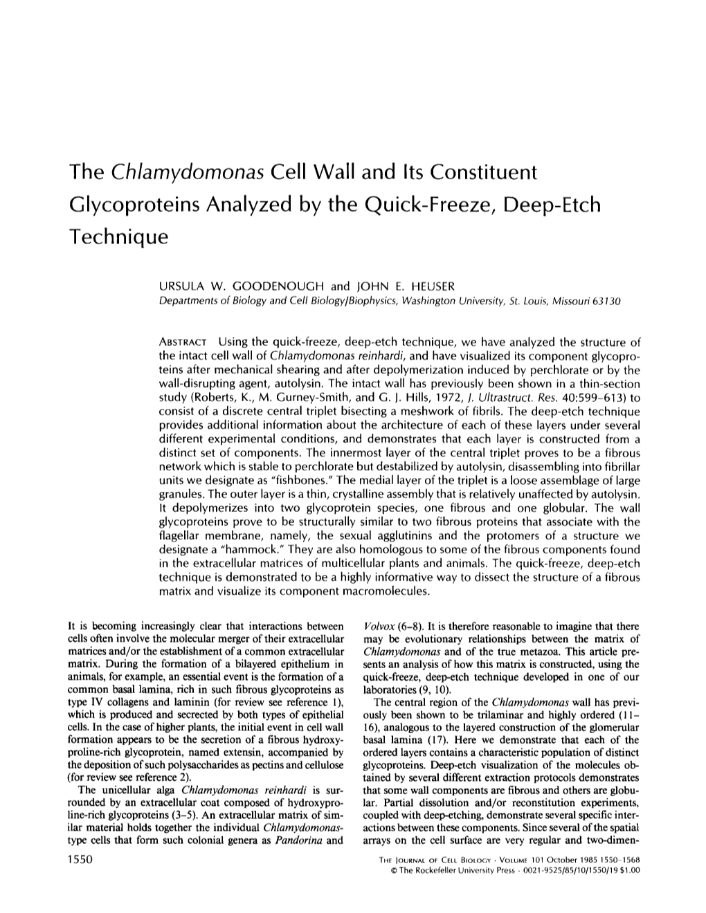 The Chlamydomonas Cell Wall