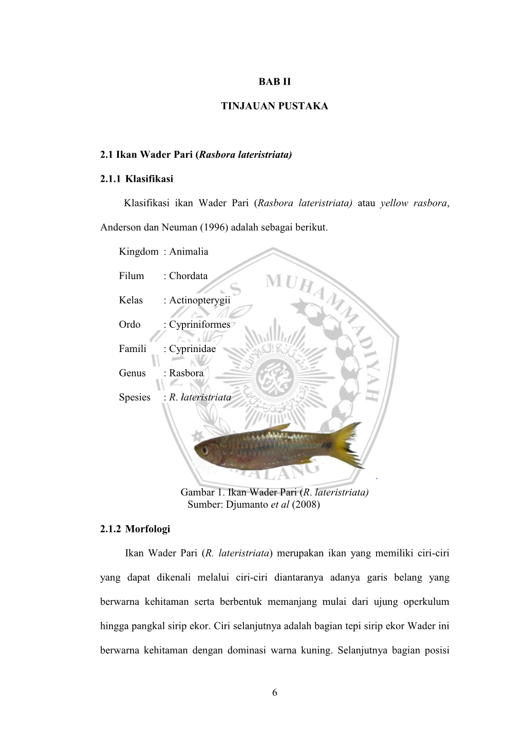 6 BAB II TINJAUAN PUSTAKA 2.1 Ikan Wader Pari (Rasbora Lateristriata)