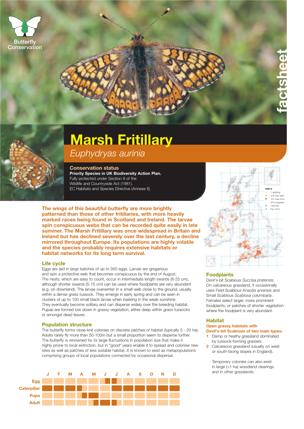 Marsh Fritillary Euphydryas Aurinia