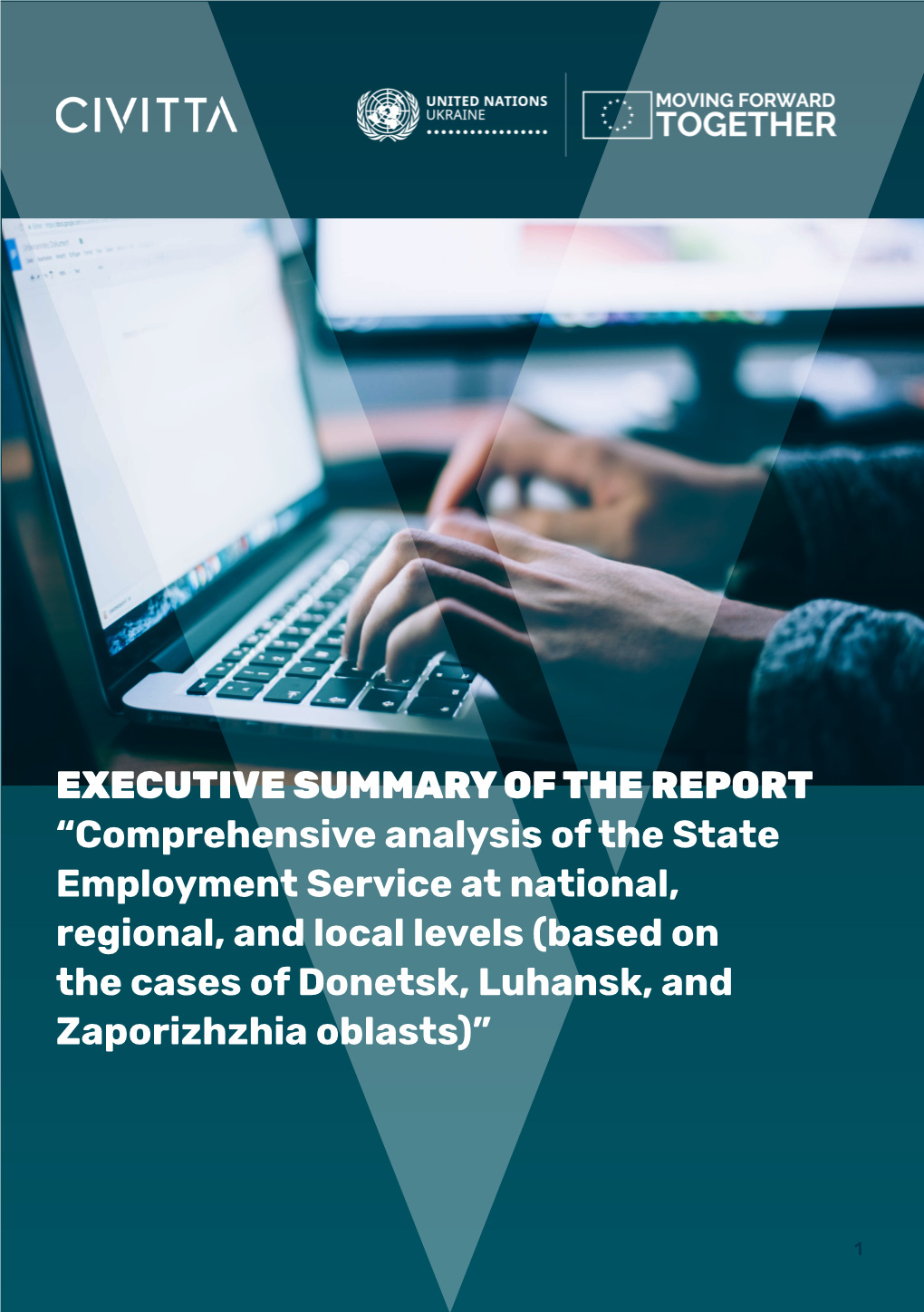 EXECUTIVE SUMMARY of the REPORT “Comprehensive Analysis