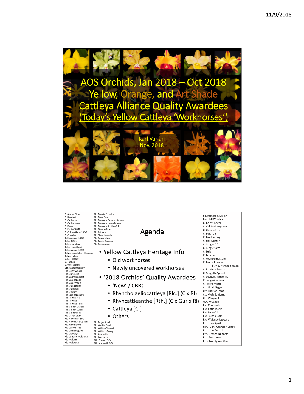 AOS Orchids, Jan 2018 – Oct 2018 Yellow, Orange, and Art Shade Cattleya Alliance Quality Awardees (Today’S Yellow Cattleya ‘Workhorses’)