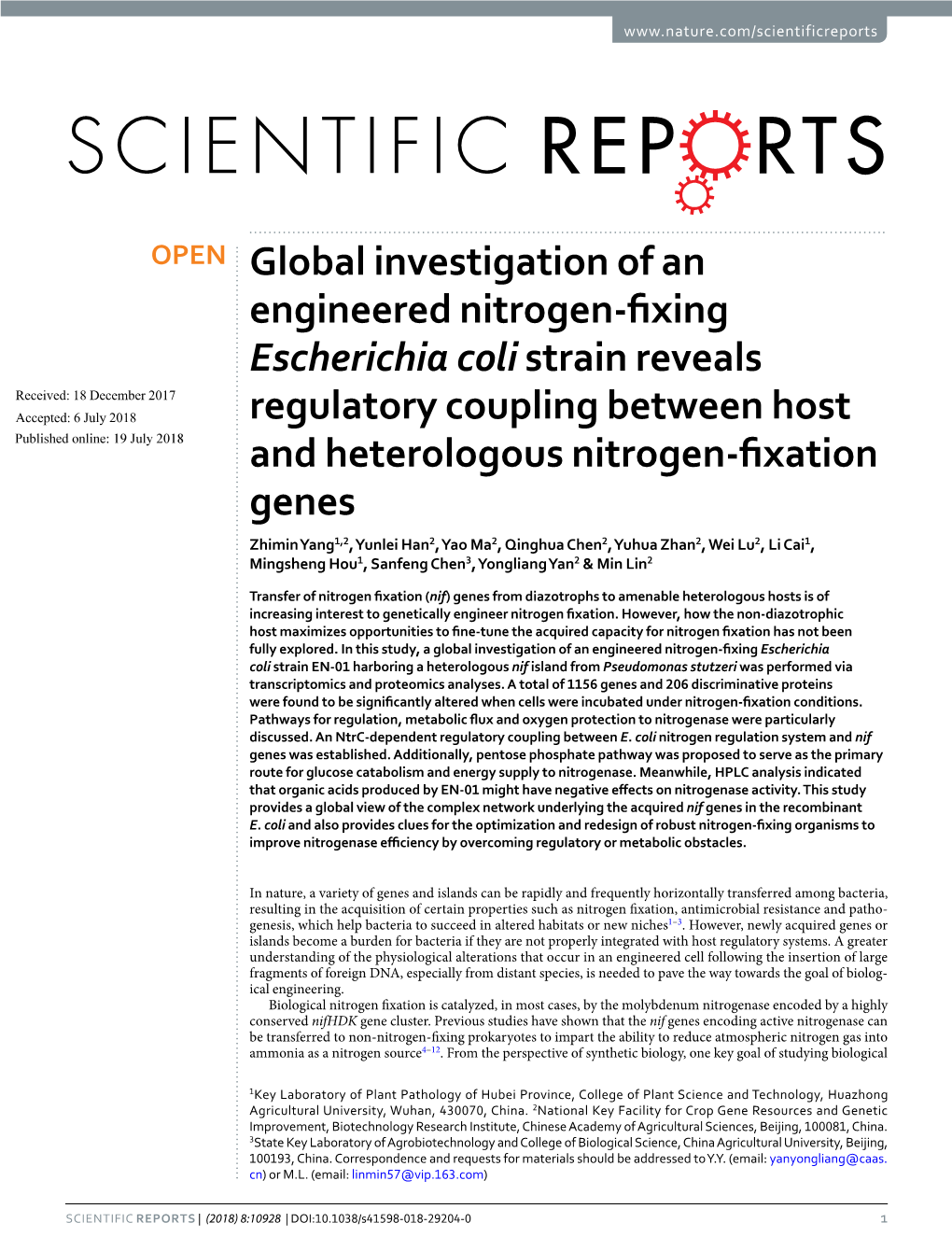 Global Investigation of an Engineered Nitrogen-Fixing Escherichia Coli