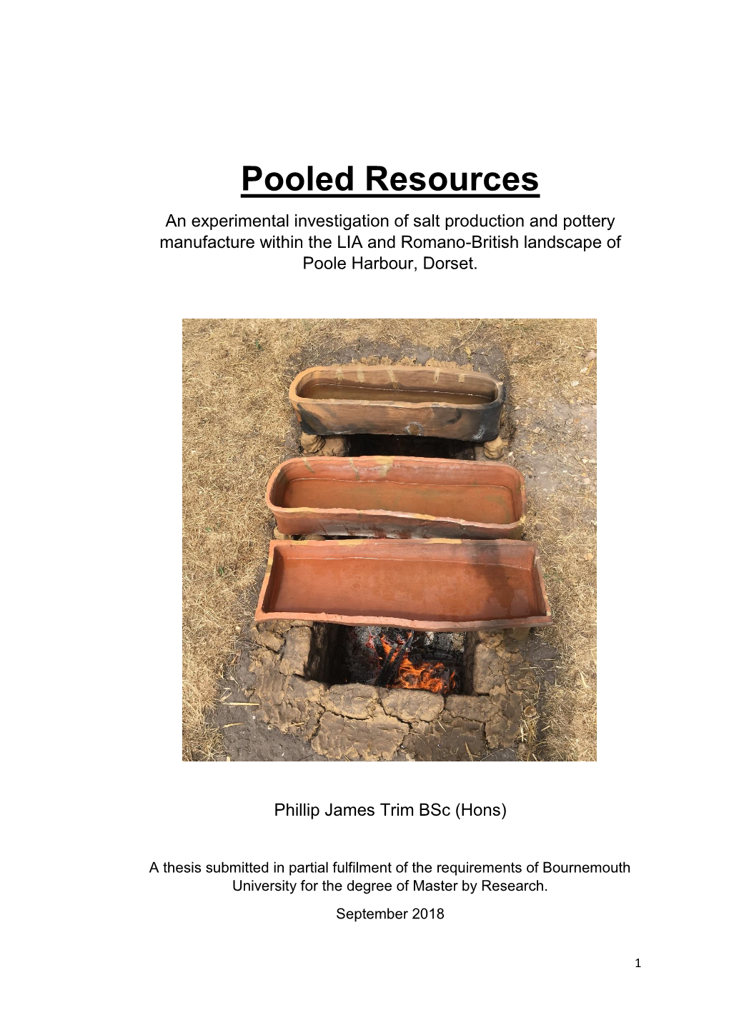 Pooled Resources an Experimental Investigation of Salt Production and Pottery Manufacture Within the LIA and Romano-British Landscape of Poole Harbour, Dorset