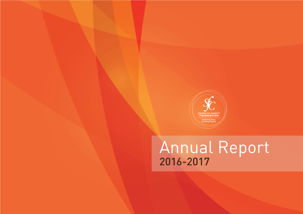 Annual Report 2016-2017