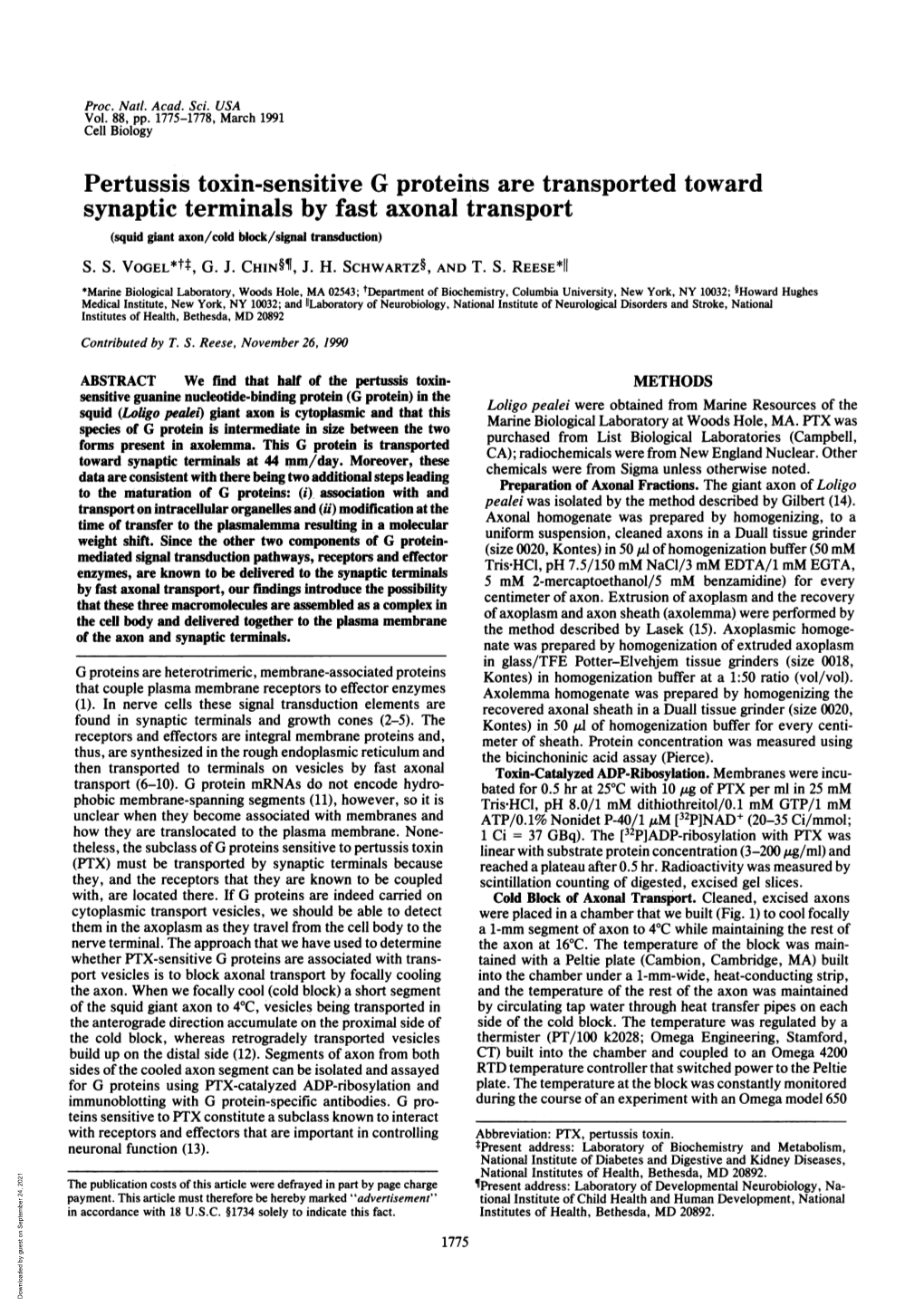 Pertussis Toxin-Sensitive G Proteins Are Transported Toward Synaptic Terminals by Fast Axonal Transport (Squid Giant Axon/Cold Block/Signal Transduction) S