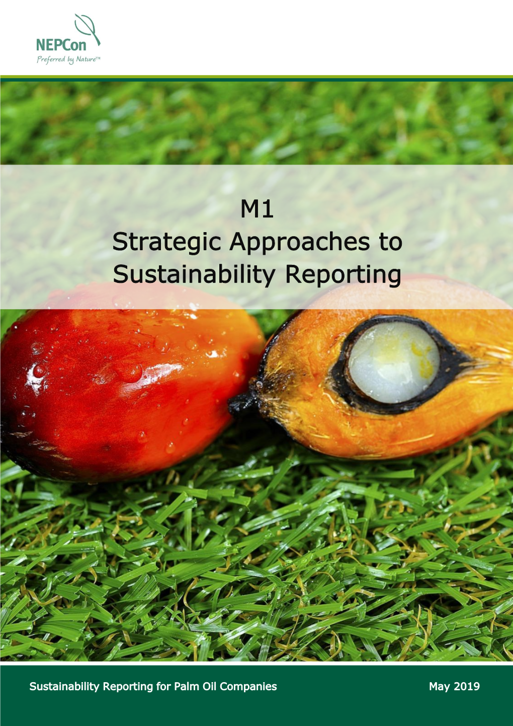 M1 Strategic Approaches to Sustainability Reporting