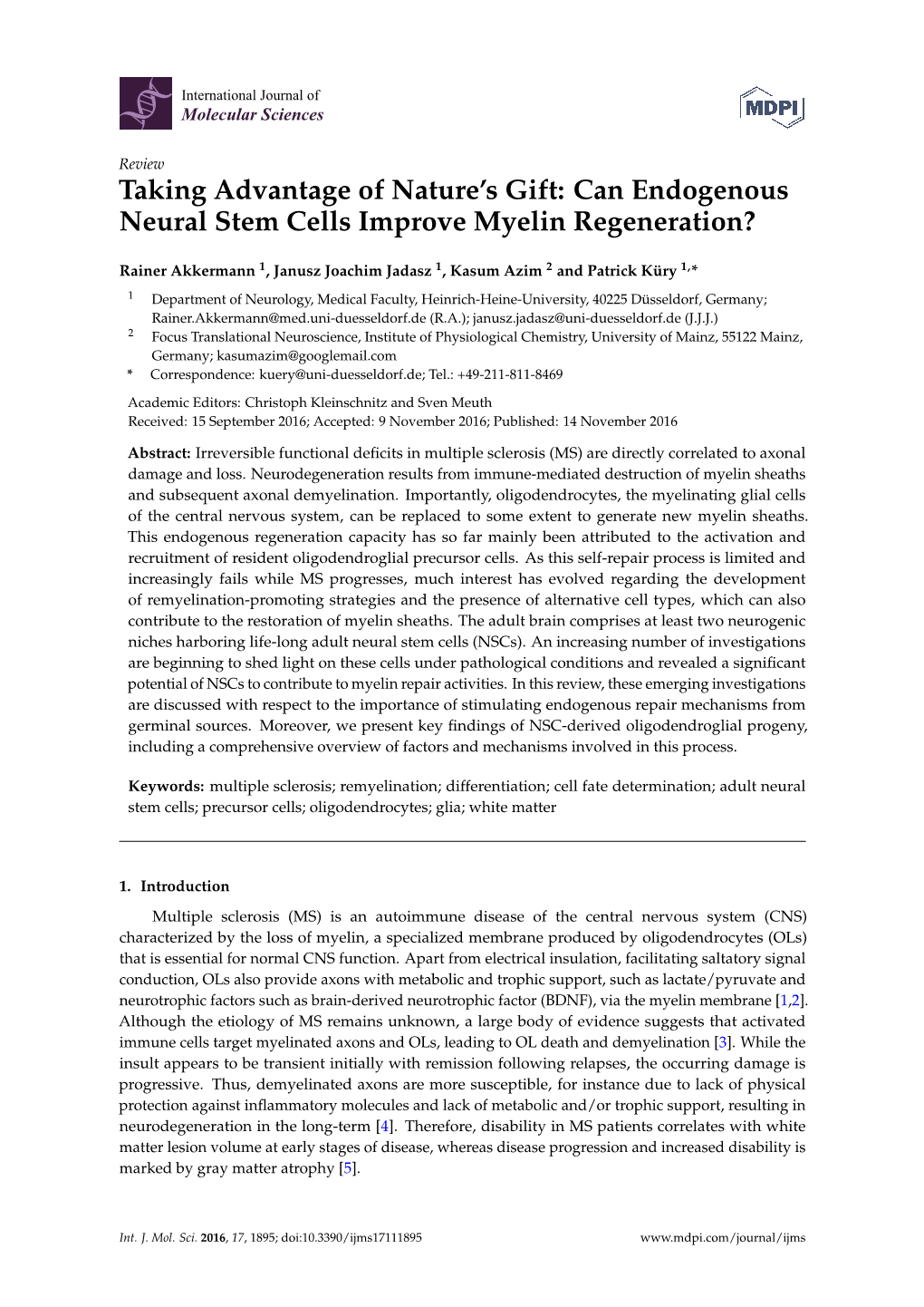Can Endogenous Neural Stem Cells Improve Myelin Regeneration?