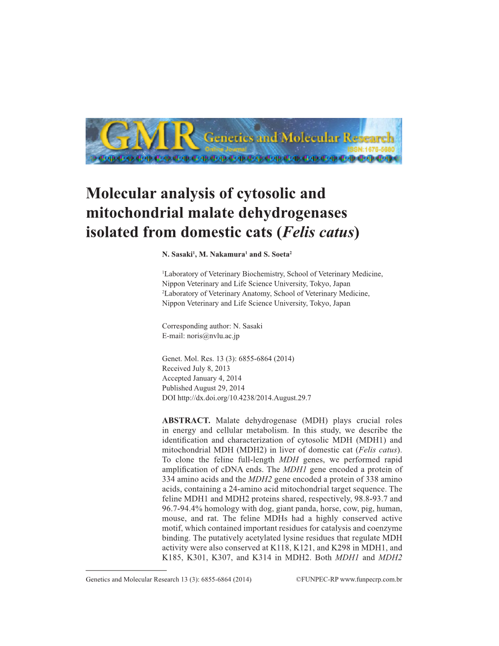 Molecular Analysis of Cytosolic and Mitochondrial Malate Dehydrogenases Isolated from Domestic Cats (Felis Catus)