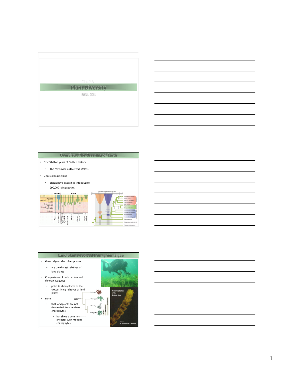 Plant Diversity BIOL 221