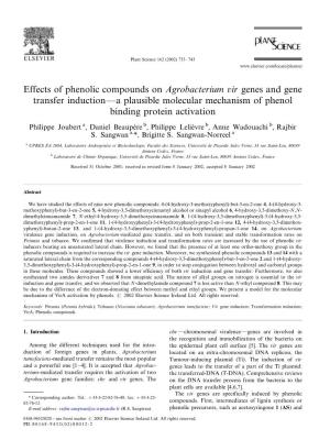 Effects of Phenolic Compounds on Agrobacterium Vir Genes and Gene