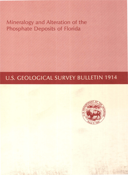 Mineralogy and Alteration of the Phosphate Deposits of Florida