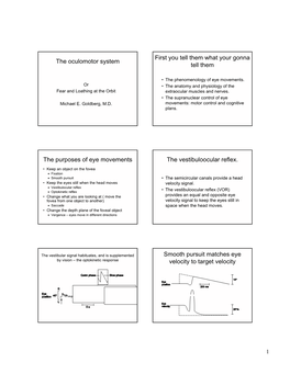 The Oculomotor System First You Tell Them What Your Gonna Tell Them The