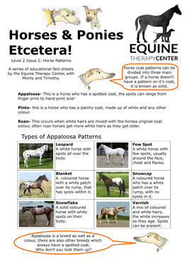 Horses & Ponies Etcetera!