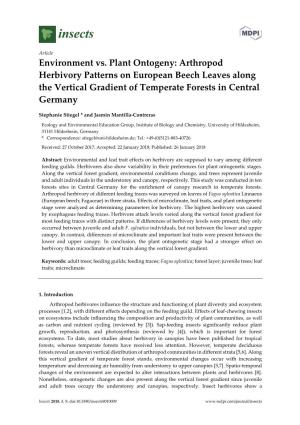 Arthropod Herbivory Patterns on European Beech Leaves Along the Vertical Gradient of Temperate Forests in Central Germany