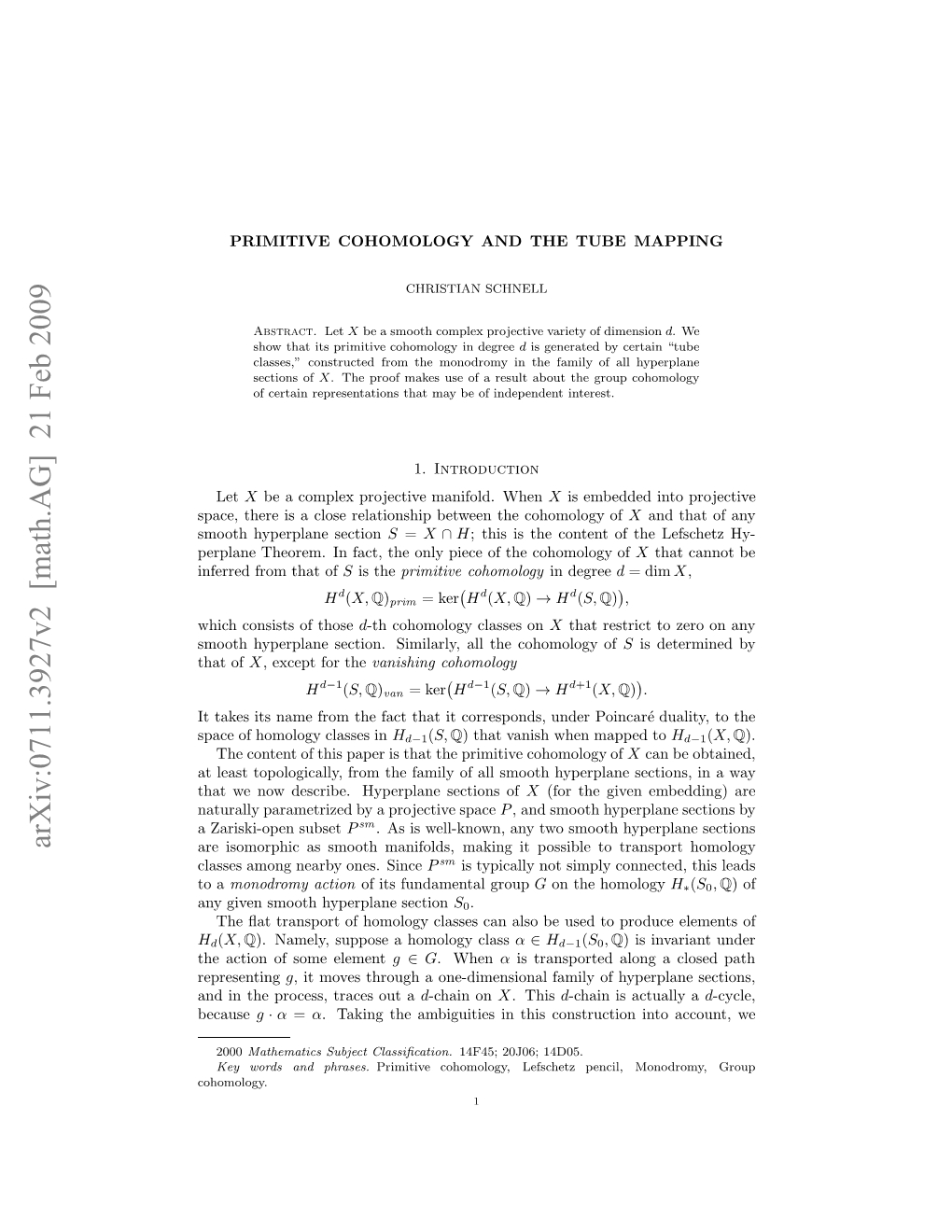 PRIMITIVE COHOMOLOGY and the TUBE MAPPING 11 Are Nodes and Cusps