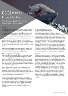 Project Profile Old Beaupre Castle: Bat Survey & Licence Implementation