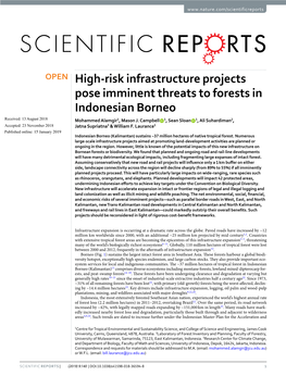 (2019) High-Risk Infrastructure Projects Pose Imminent Threats to Forests In