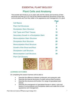 Plant Cells and Anatomy Booklet